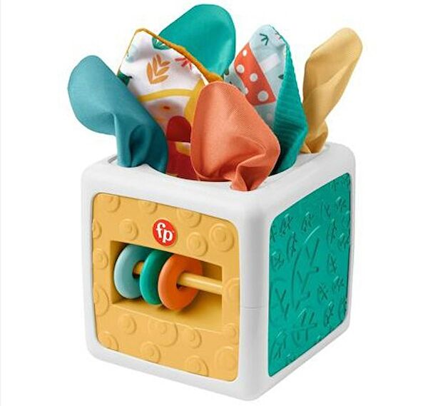 Fisher-Price Eğitici Oyuncaklar