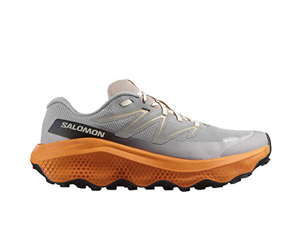 Salomon Outdoor Ayakkabı