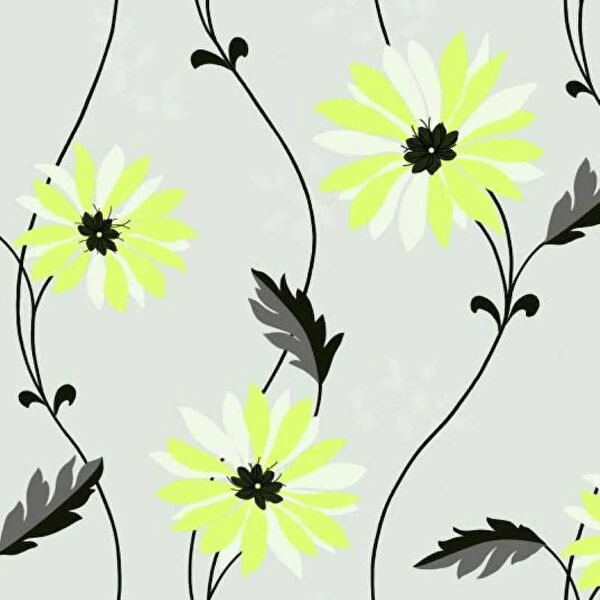 Turtle Duvar Kağıdı