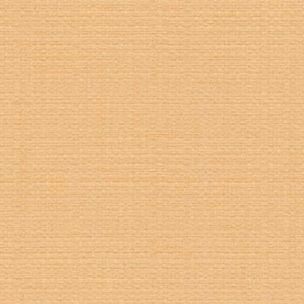 Turtle Duvar Kağıdı