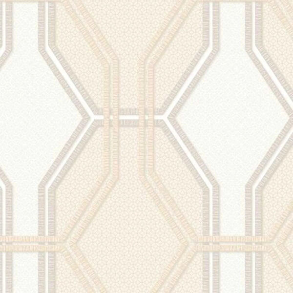 Turtle Duvar Kağıdı