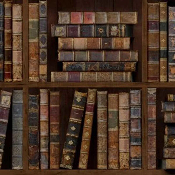 Turtle Duvar Kağıdı