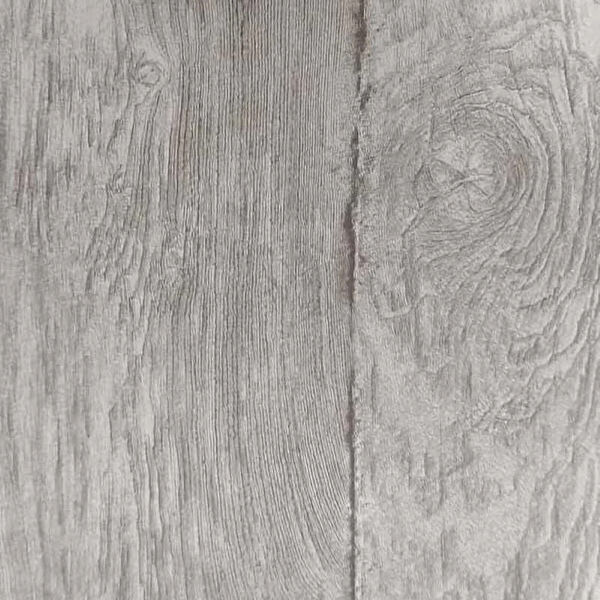 Turtle Duvar Kağıdı