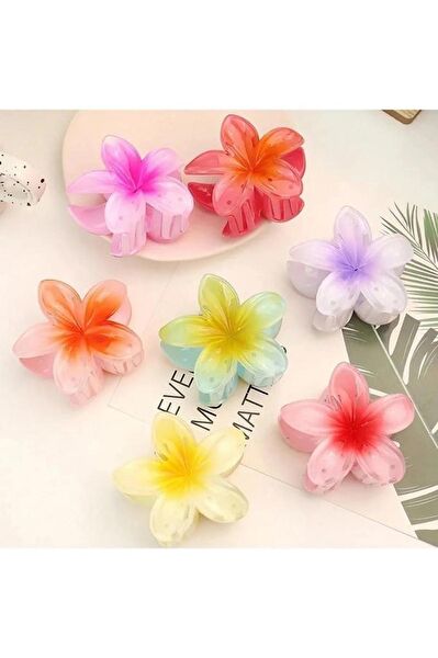 DZC KUZENLER AVM Kadın Saç Tokaları ve Yüzükleri