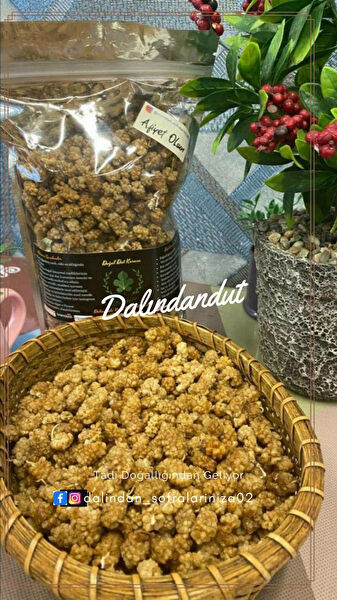 Dalındandut Kuru meyve