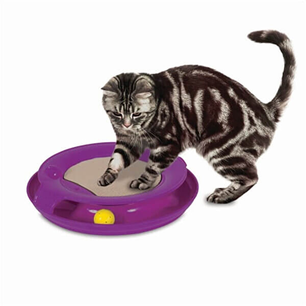 Jackson Kedi Tırmalama