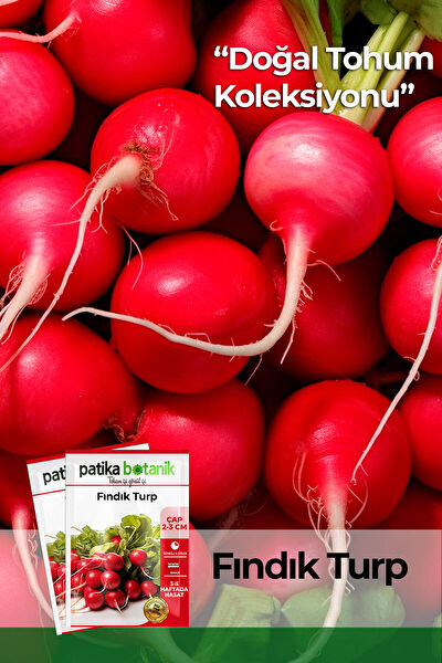 Patika Botanik Tohum