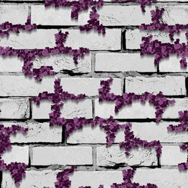 Prowall Duvar Kağıdı