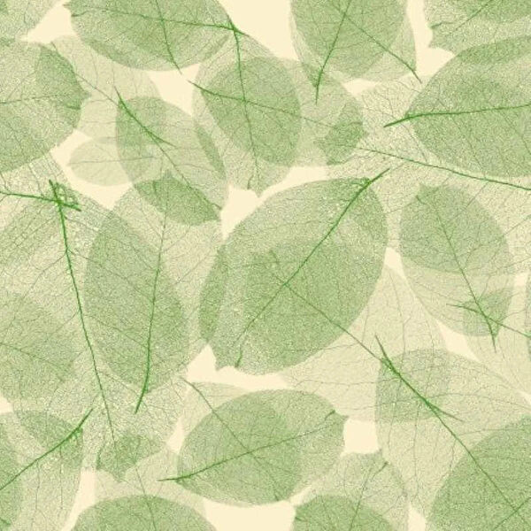 Prowall Duvar Kağıdı