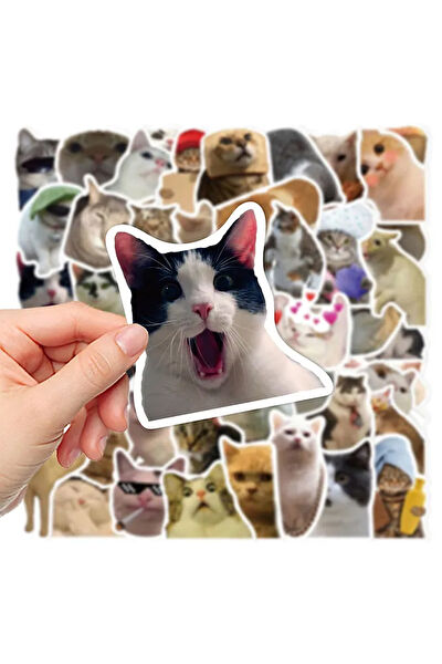 Major Selection Etiket, Sticker