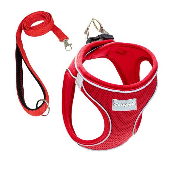 CecePet Köpek Tasmaları