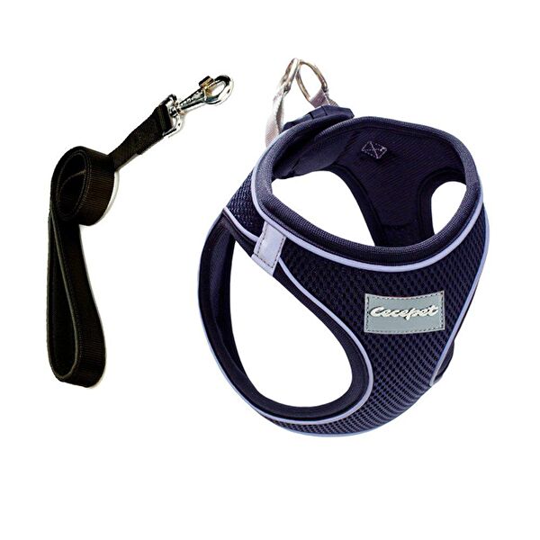 CecePet Köpek Tasmaları