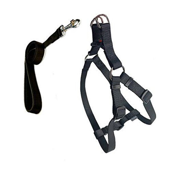 CecePet Köpek Tasmaları