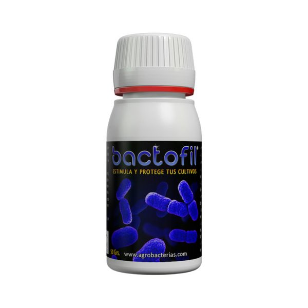 Agrobacterias Bitki Vitamini, Besini