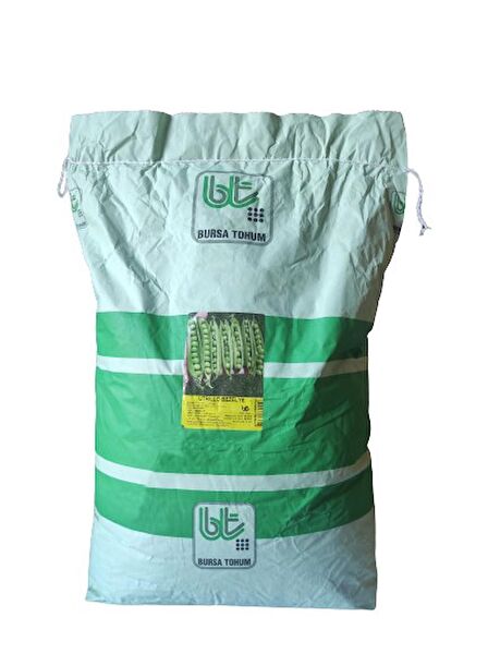 Bursa Tohum Tohum