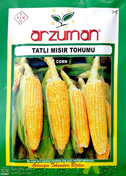 Arzuman Tohum