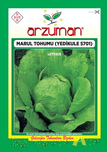 Arzuman Tohum