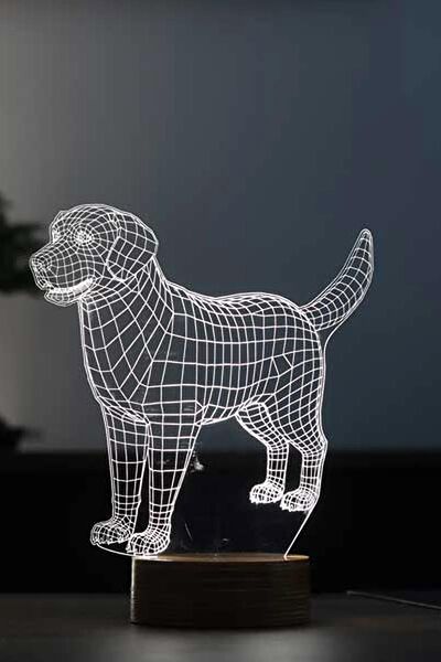 By-Lamp Masa Lambası