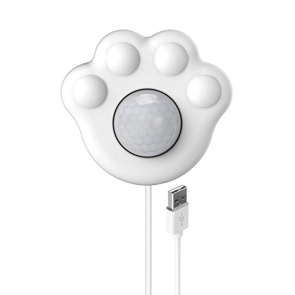 Daily Kedi Mama ve Su Kapları