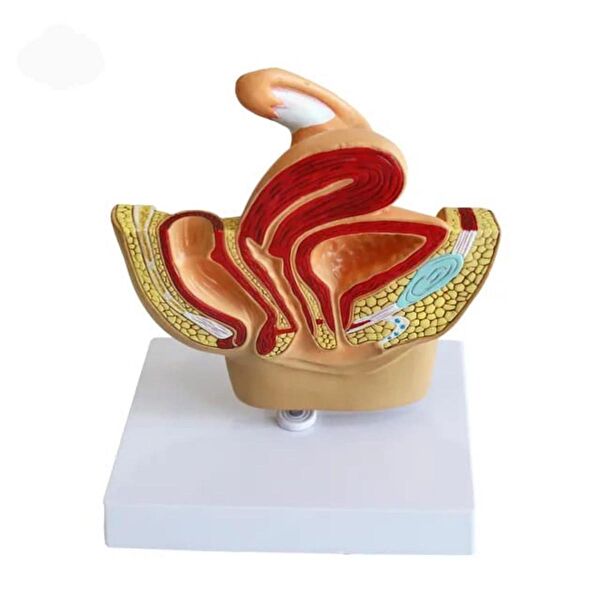 NATURACHİ Maket Aksesuarı