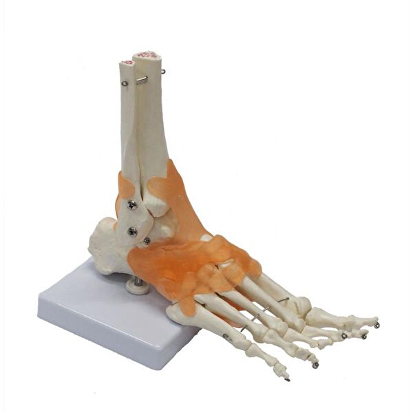 NATURACHİ Maket Aksesuarı