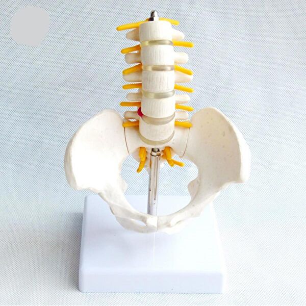 NATURACHİ Maket Aksesuarı