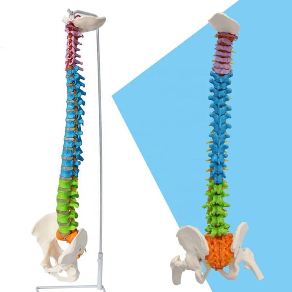 NATURACHİ Maket Aksesuarı