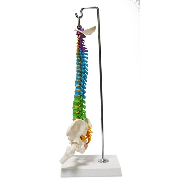 NATURACHİ Maket Aksesuarı