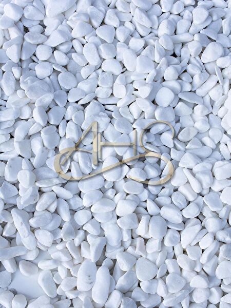 AHS Akvaryum Dekoratif Malzemeler