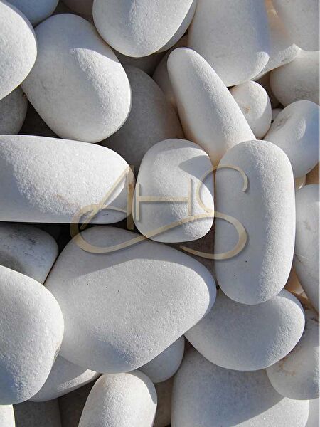 AHS Akvaryum Dekoratif Malzemeler