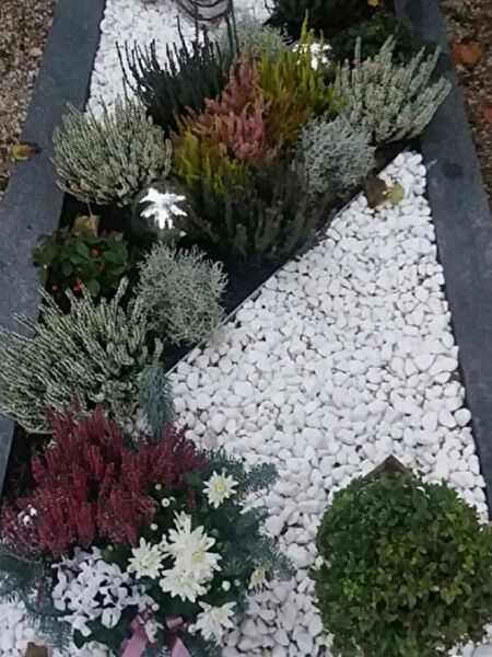 AHS Akvaryum Dekoratif Malzemeler