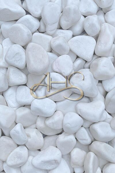 AHS Akvaryum Dekoratif Malzemeler