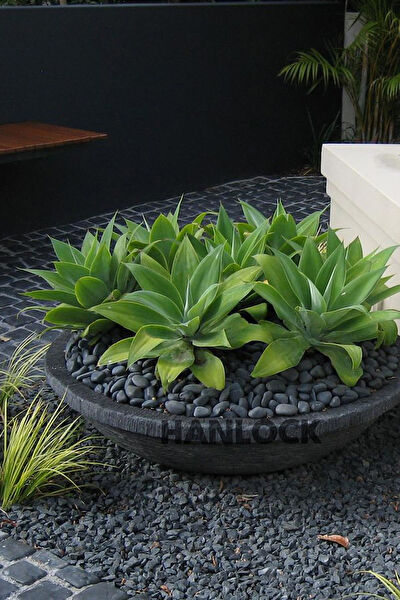 AHS Akvaryum Dekoratif Malzemeler