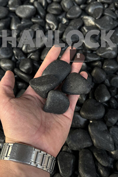 AHS Akvaryum Dekoratif Malzemeler