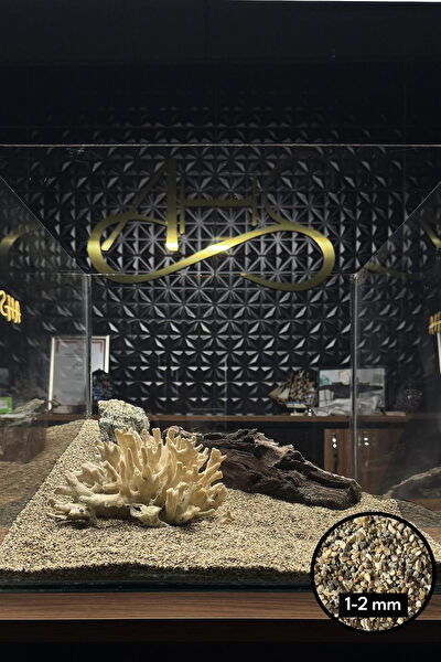 AHS Akvaryum Dekoratif Malzemeler