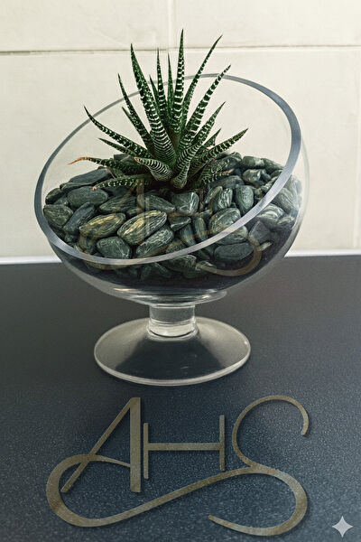 AHS Bahçe Dekoratif Ürünleri