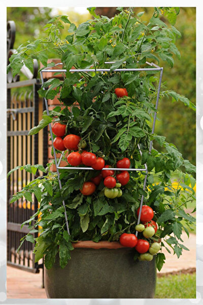 AKTEPE GROUP Sera, Sera Malzemeleri