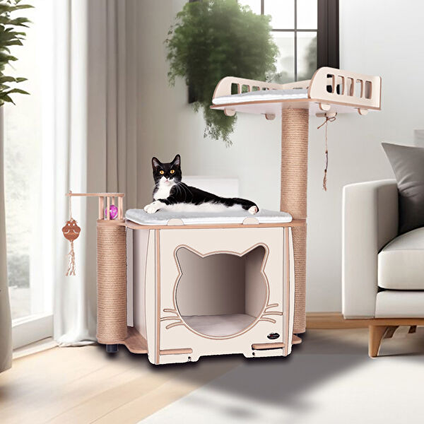 Patihomes Kedi Tırmalama