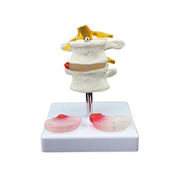 MİYANG EGZERSİZ Maket Aksesuarı