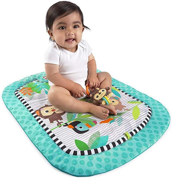 Bright Starts Bebek Oyuncakları