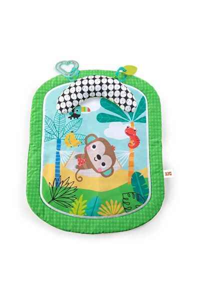 Bright Starts Bebek Oyuncakları