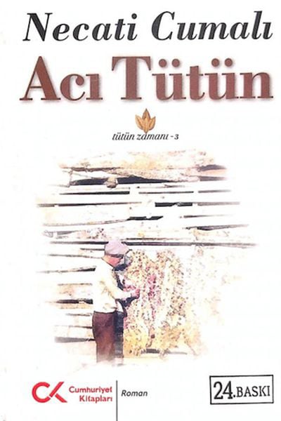 Cumhuriyet Kitapları Roman Kitapları