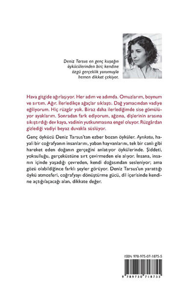 Can Yayınları Roman