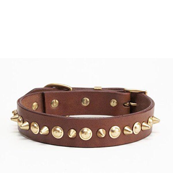 CecePet Köpek Tasmaları