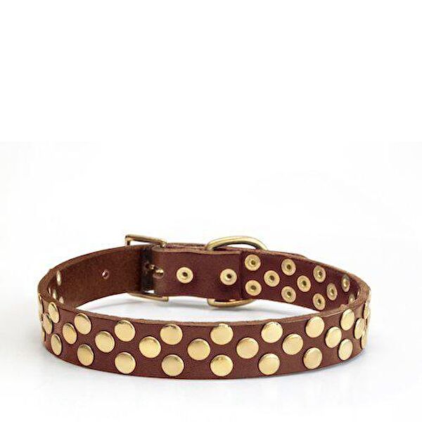 CecePet Köpek Tasmaları