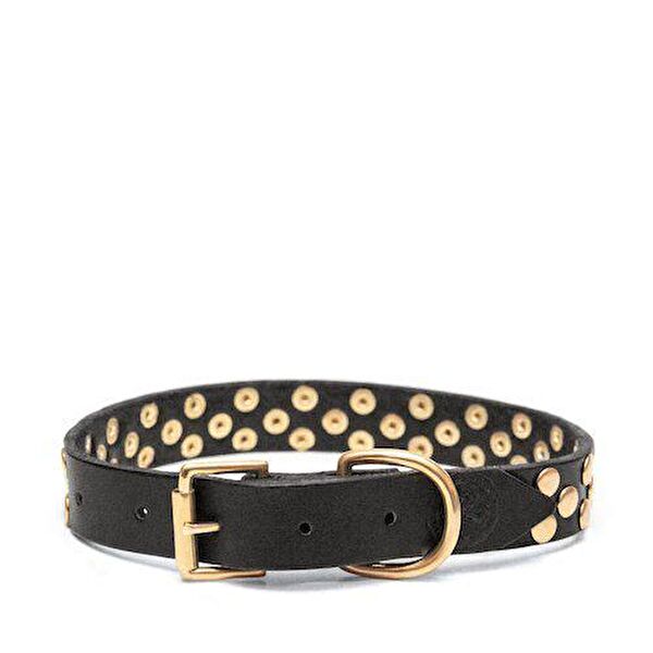 CecePet Köpek Tasmaları