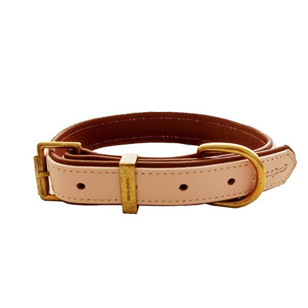 CecePet Köpek Tasmaları