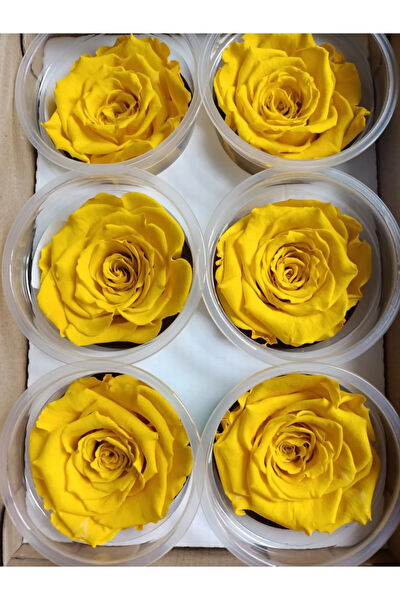 Trend Yapay Çiçek, Meyve