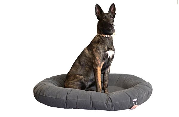 CecePet Köpek Yatağı