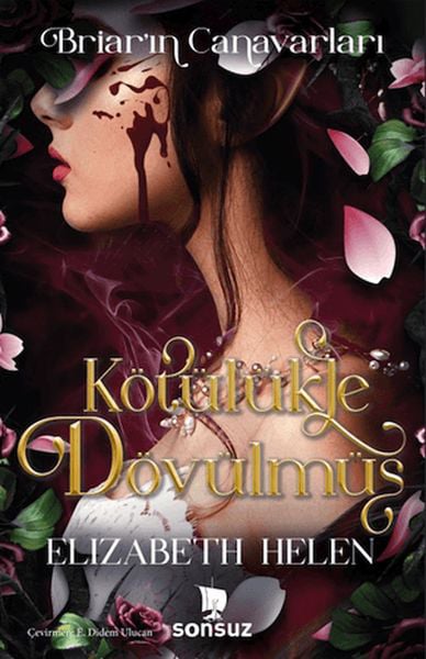 Sonsuz Kitap Yayınları Roman Kitapları
